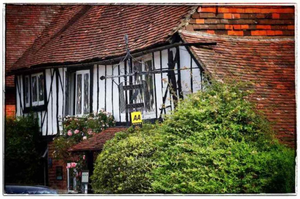 Kester House Hurst Green  Exteriér fotografie